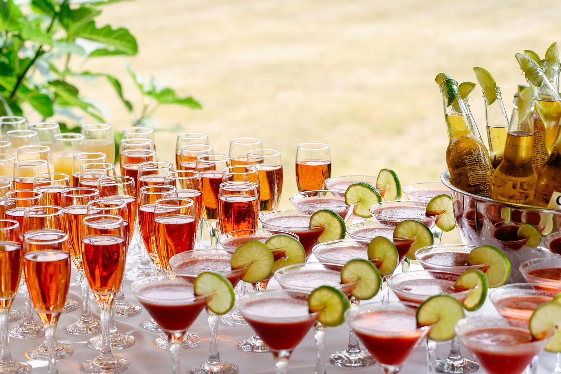 Wedding cocktail bar with champagne, martinis, and bottled drinks.