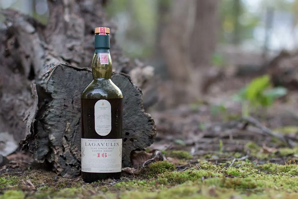 Lagavulin 16 whisky bottle beside a tree trunk.