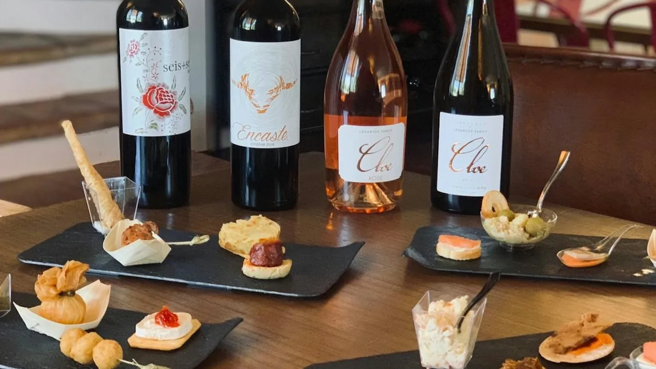 Spanish wine bottles served with gourmet tapas.